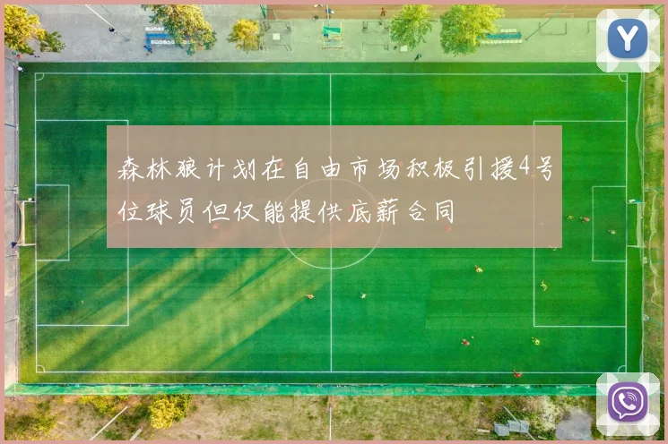 森林狼计划在自由市场积极引援4号位球员但仅能提供底薪合同