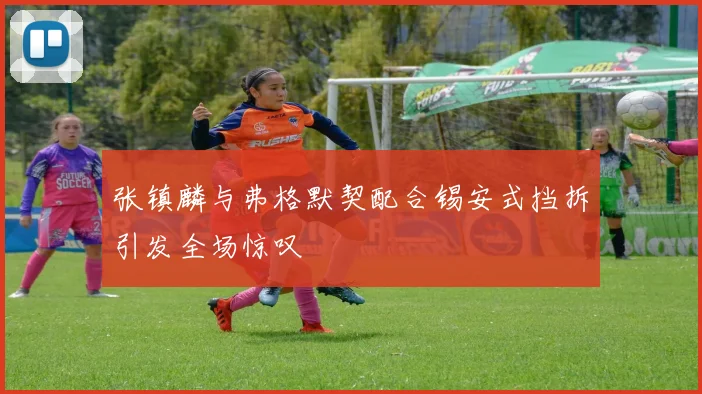 张镇麟与弗格默契配合锡安式挡拆引发全场惊叹
